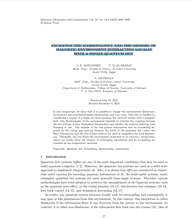 EXCHANGE THE MARKOVIANITY AND THE MEMORY OF MAGNETIC ENVIRONMENT INTERACTING LOCALLY WITH A SINGLE QUANTUM DOT