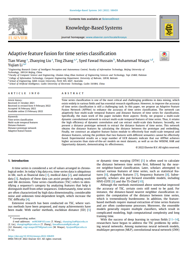 Adaptive feature fusion for time series classification