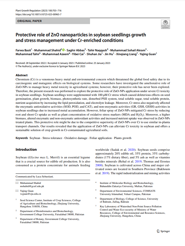 Protective role of ZnO nanoparticles in soybean seedlings growth and stress management under Cr‑enriched conditions