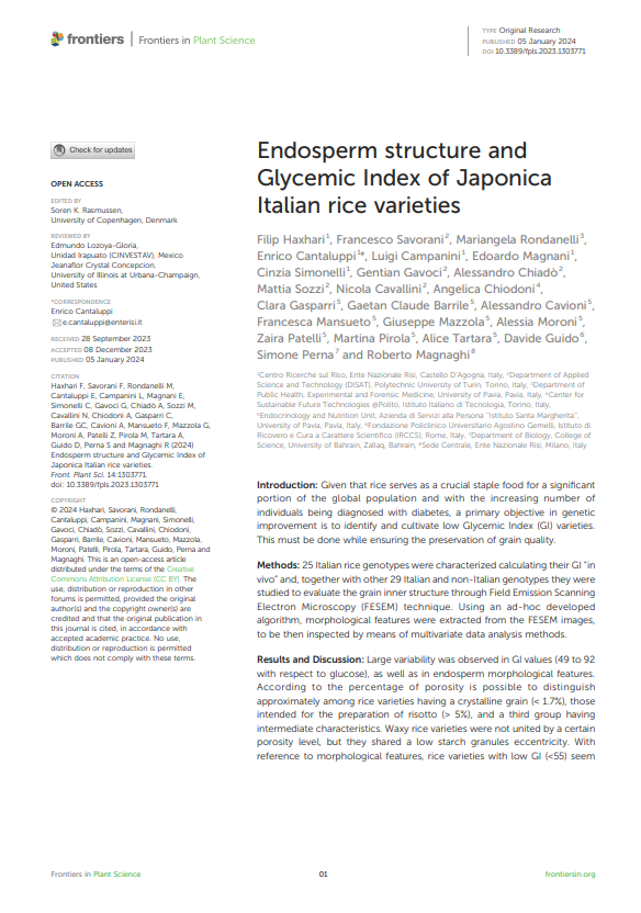 Endosperm structure and Glycemic Index of Japonica Italian rice varieties